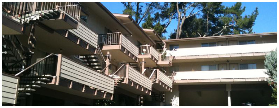 Painters Bay Area